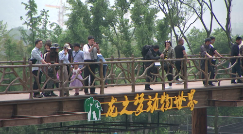 龙之梦动物园免费开放 首日迎5万游客